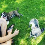 Glenn and Piper - @sir_glenndon.lady_piper - Instagram