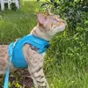 piper.glenn - @piper.glenn - TikTok