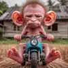 ertip - @glennpitre49 - TikTok