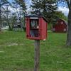 Pleasant Glen Farm - @pleasant.glen.far - TikTok