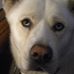 Glenn D Plott - Facebook