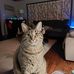 Glennsally Presley - Facebook