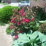 Glenna Presnell Reininga - @glennapresnell - Instagram