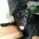 Glenn Priestley - @glennpriestley - Instagram