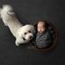Glenn Pringle - Facebook