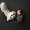 Glenn Pringle - @glenn.pringle5 - TikTok