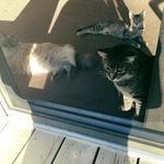 Connie Pruitt - @glennpruitt17 - Instagram