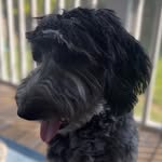 Glenn Radcliffe - @radcliffe.with.an.e - Instagram