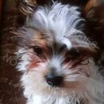 Glenna Ramey - @glenna.ramey.12 - Instagram