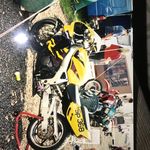 Glenn Randles - @randlesglenn - Instagram