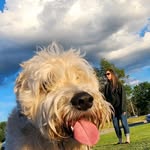 Glenn Ratcliffe - @glenn.ratcliffe.31 - Instagram
