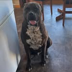 Glenn Reading - @glenn.reading1 - Instagram