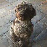Glenn Rees - @willows_world17 - Instagram