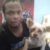 Glenn Reese - @gdrsqrd - TikTok
