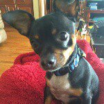 Rocky Glenn Riddle - @glenndoggycoco - Instagram
