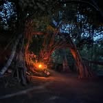 Glenn Riggs - @agleninthewoods - Instagram