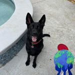 Glenn A Roach - @glennallenroach54 - Instagram