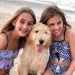 Glenn Rocha - @rochaglenn - Instagram