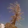 glennroman795 - @glennroman795 - TikTok