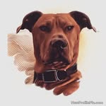 Glenn Simmons - @glennsimmons_ - Instagram