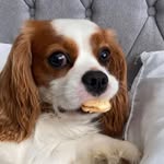 Glenn John Slater - @geejayslate - Instagram