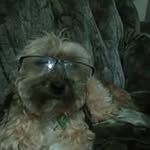 Glenn Slater - @slater.glenn - Instagram
