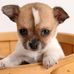 Glenn Smallwood - Facebook