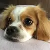glensmallwood - @glen.smallwood - TikTok