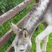 Glenn Smart - Facebook