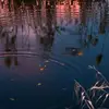 Glenn Seaton - @glenn.seaton - TikTok