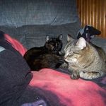 Glenn Smith - @bagsmith21 - Instagram