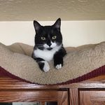 Glenn Spaulding - @spauldingglenn - Instagram
