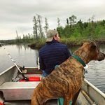 glenn spaulding - @glennspaulding - Instagram