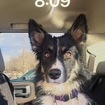 Glenn Speer - @goodgreif_g - Instagram