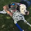 Glenn Sprague - @glennsprague - TikTok