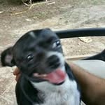 glenn - @glennjr.stapp - Instagram