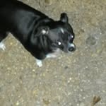 Glenn Jr Stapp - @glennjr.s - Instagram