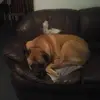 Glenn Staiger - @glenn.staiger - TikTok