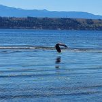 Glenn Stuart - @glenn.stuart.7 - Instagram