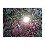 Glen Suchy - @glensuchy - Instagram