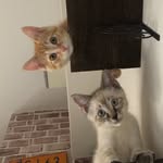 グレン&サン - @glenn_sun2020 - Instagram