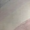 Glenn Swan II - @glennswanii - TikTok