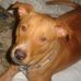Glenn Sweat - Facebook