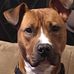 Glenn Swenson - Facebook
