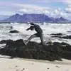 Glen Thatcher - @glenthatcher - TikTok