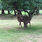 grampa_joe - @glennthurston49 - Instagram