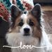 Glenn Tillison - Facebook
