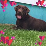 Glenna L Tompkins - @glennaltompkins - Instagram