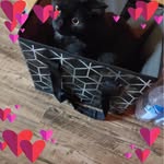 Marilyn Glenn Tompkins - @tompkinsmarilyn - Instagram