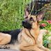 Glen Toombs - Facebook
